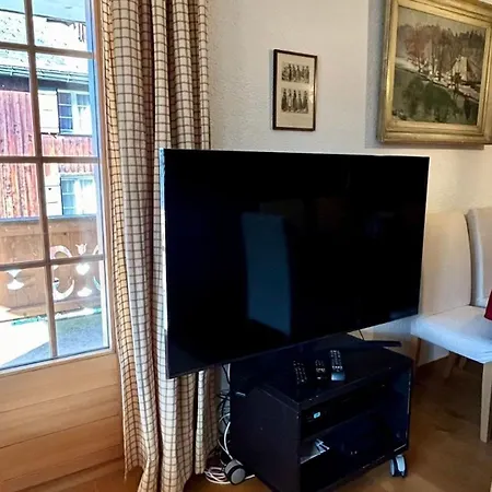 - Luxury Flat In Saanen Vakantiehuis Gstaad