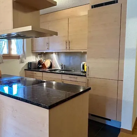 - Luxury Flat In Saanen Vakantiehuis