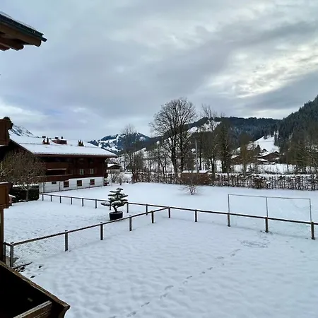 - Luxury Flat In Saanen * Gstaad